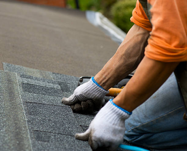 Best Metal Roofing Contractor  in Fox Crossing, WI
